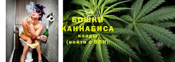 кокс Инсар